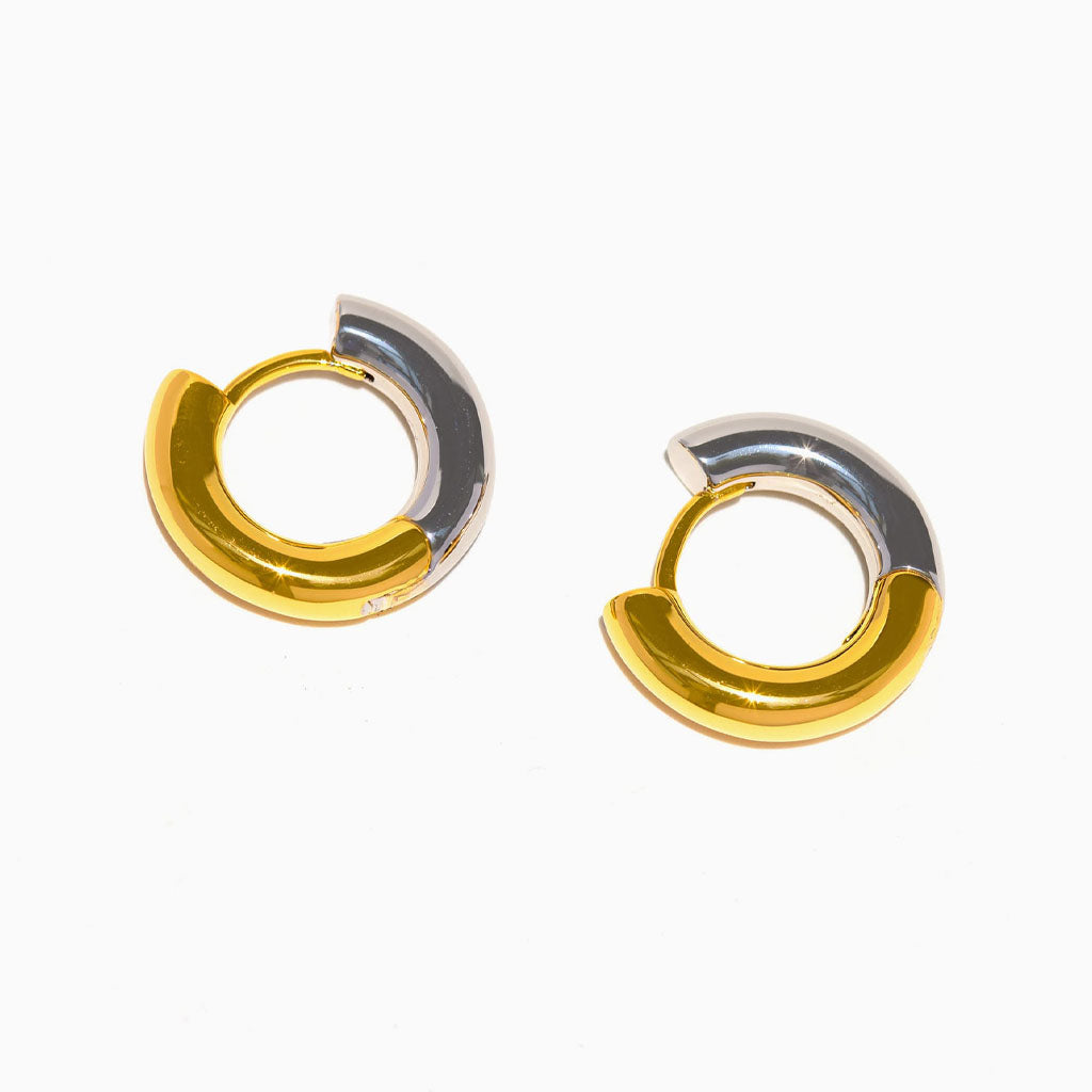 Duality Reversible Hoops